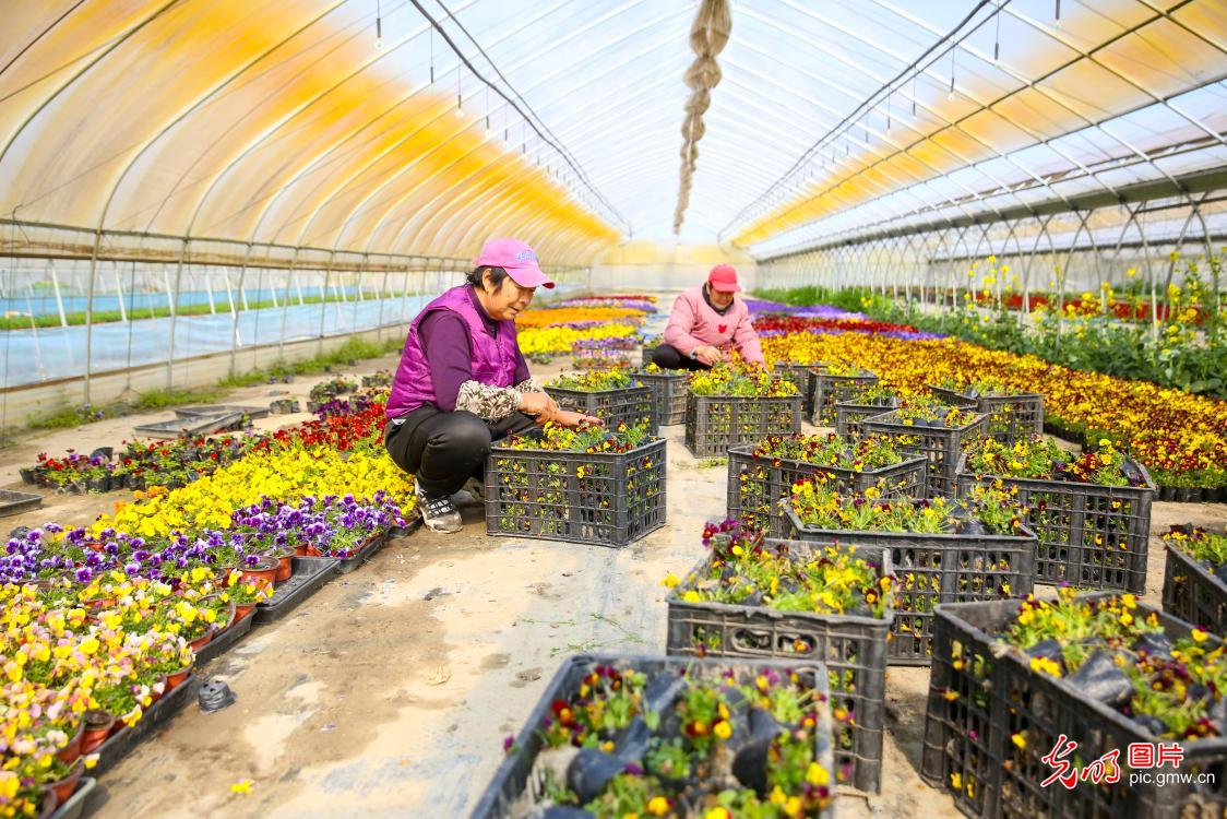 春光正好农作忙