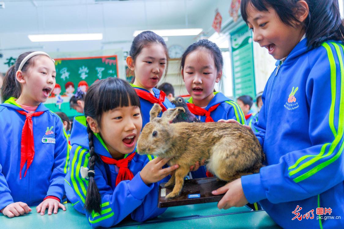 光明图片一周见报作品精选