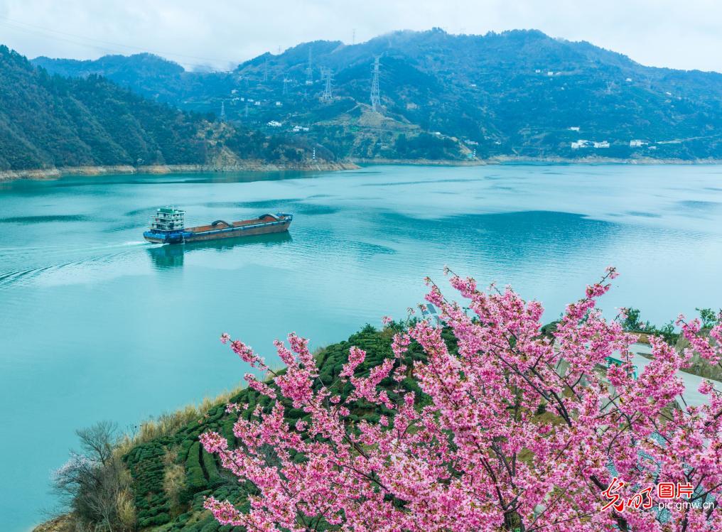 光明图片一周见报作品精选