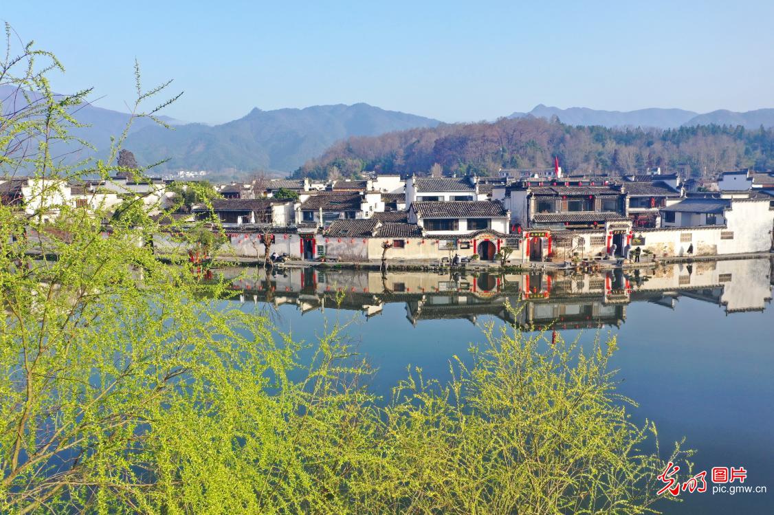 光明图片一周见报作品精选