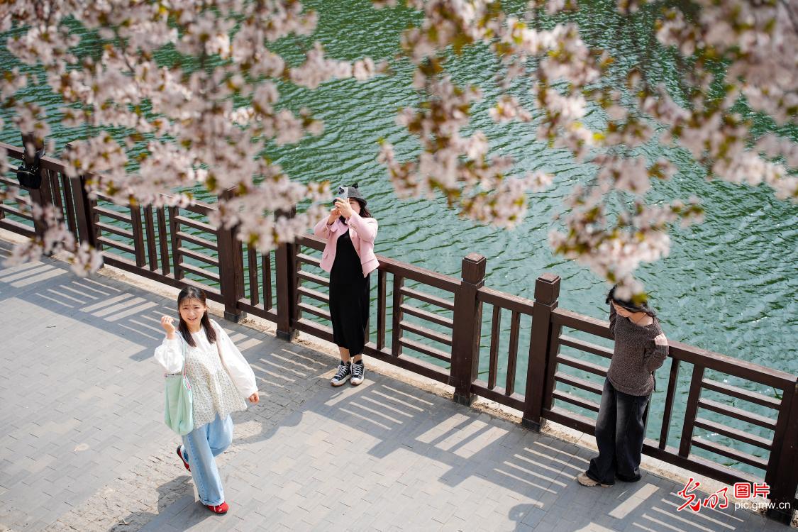 春和景明 共赴一场繁花之约