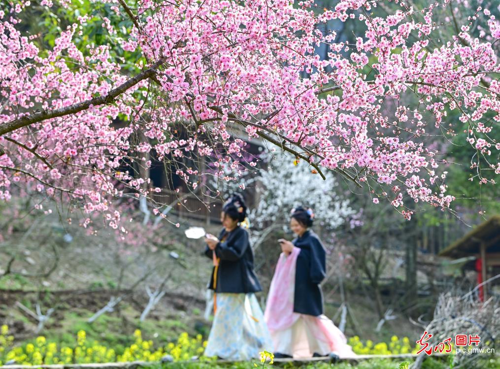 春和景明 共赴一场繁花之约