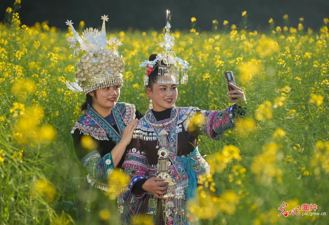 春和景明 共赴一场繁花之约