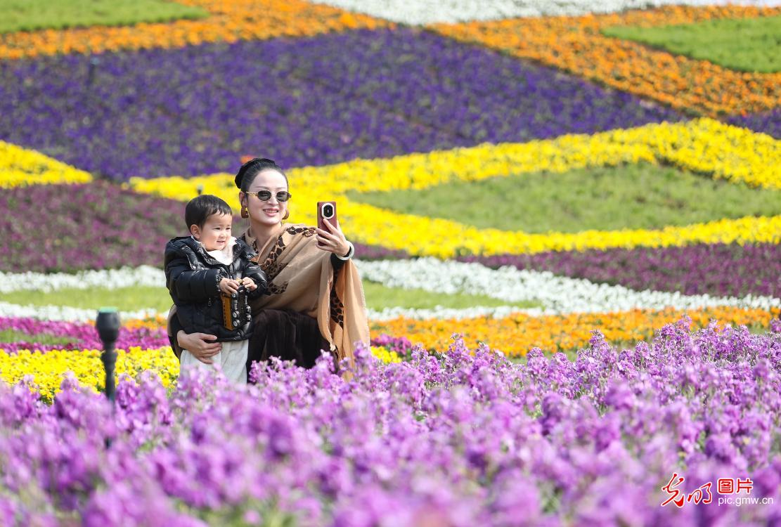 春和景明 共赴一场繁花之约