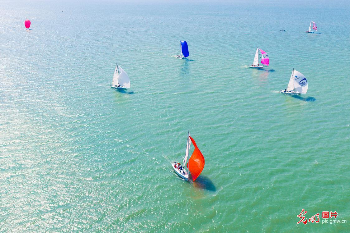 扬帆逐浪展风采