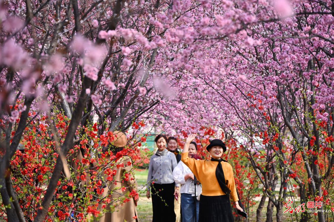 踏青赏花 乐享春光 踏青赏花 乐享春光