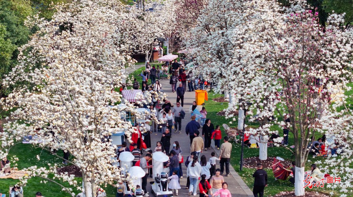踏青赏花 乐享春光 踏青赏花 乐享春光