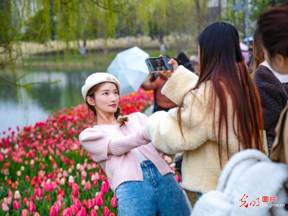 踏青赏花 乐享春光 踏青赏花 乐享春光