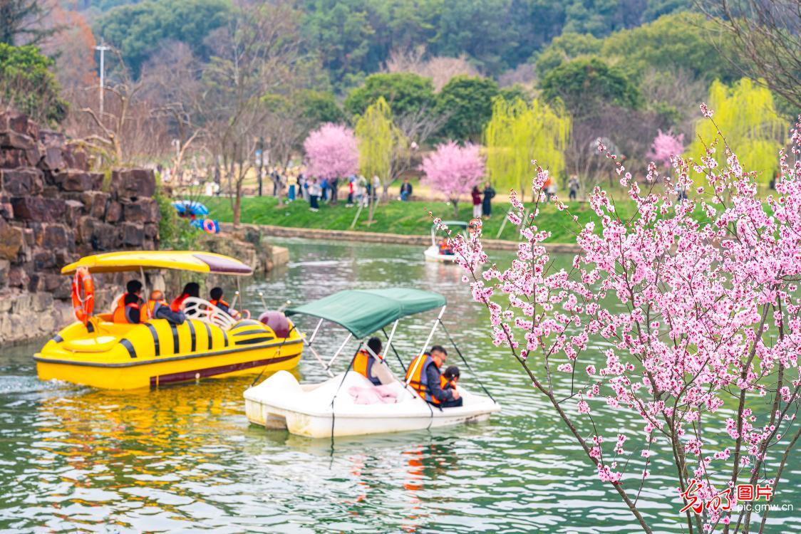 踏青赏花 乐享春光 踏青赏花 乐享春光