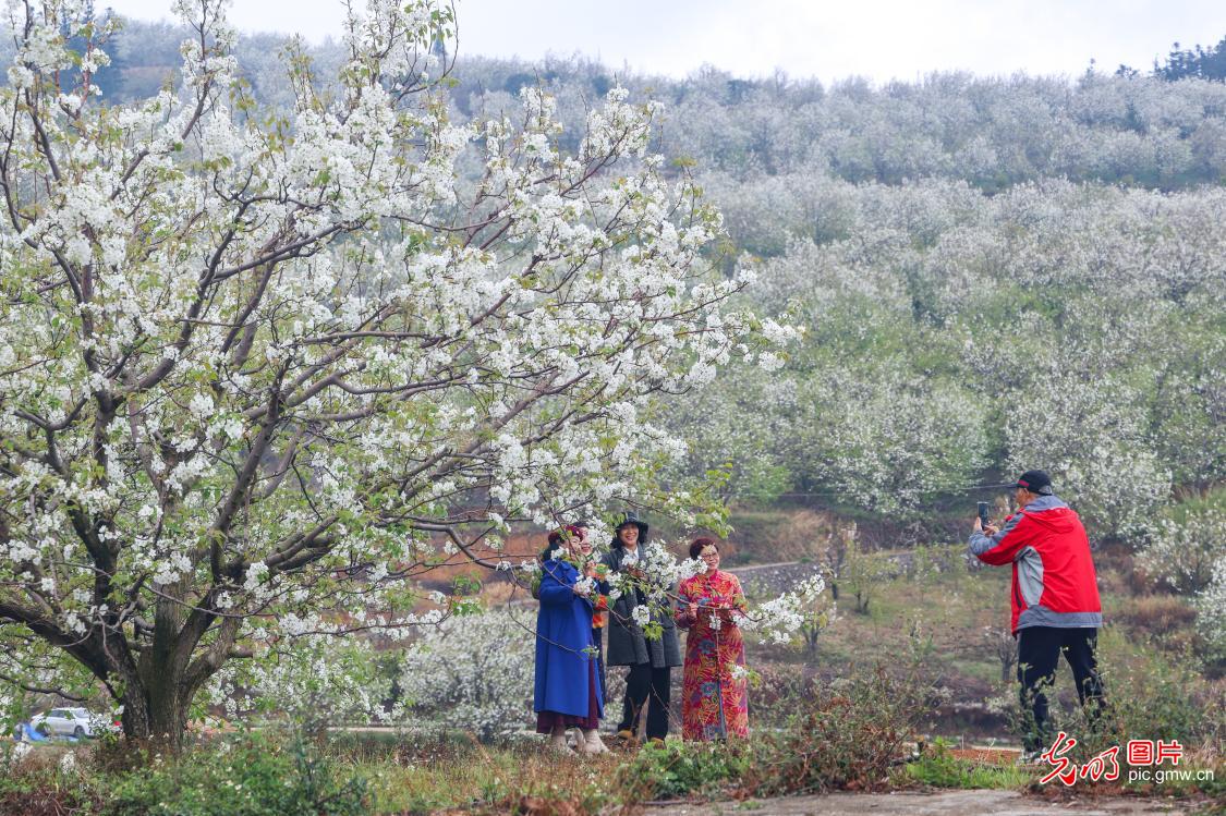 踏青赏花 乐享春光 踏青赏花 乐享春光