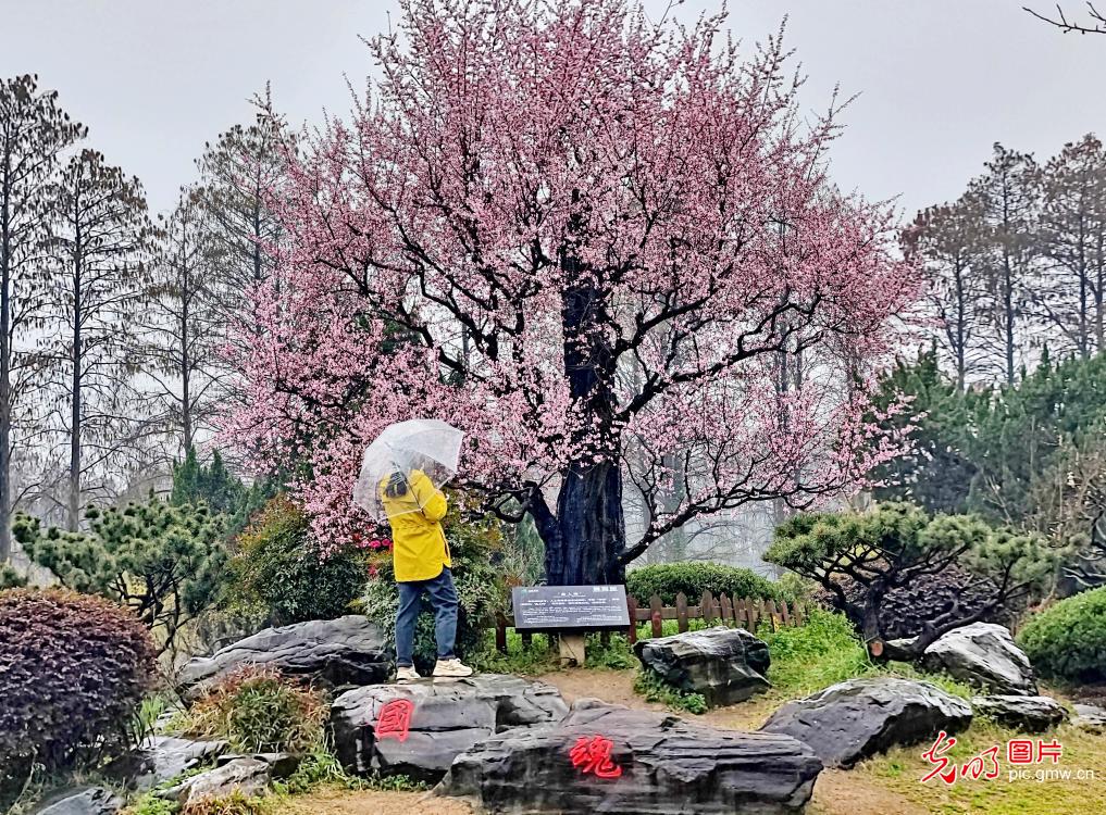 踏青赏花 乐享春光 踏青赏花 乐享春光