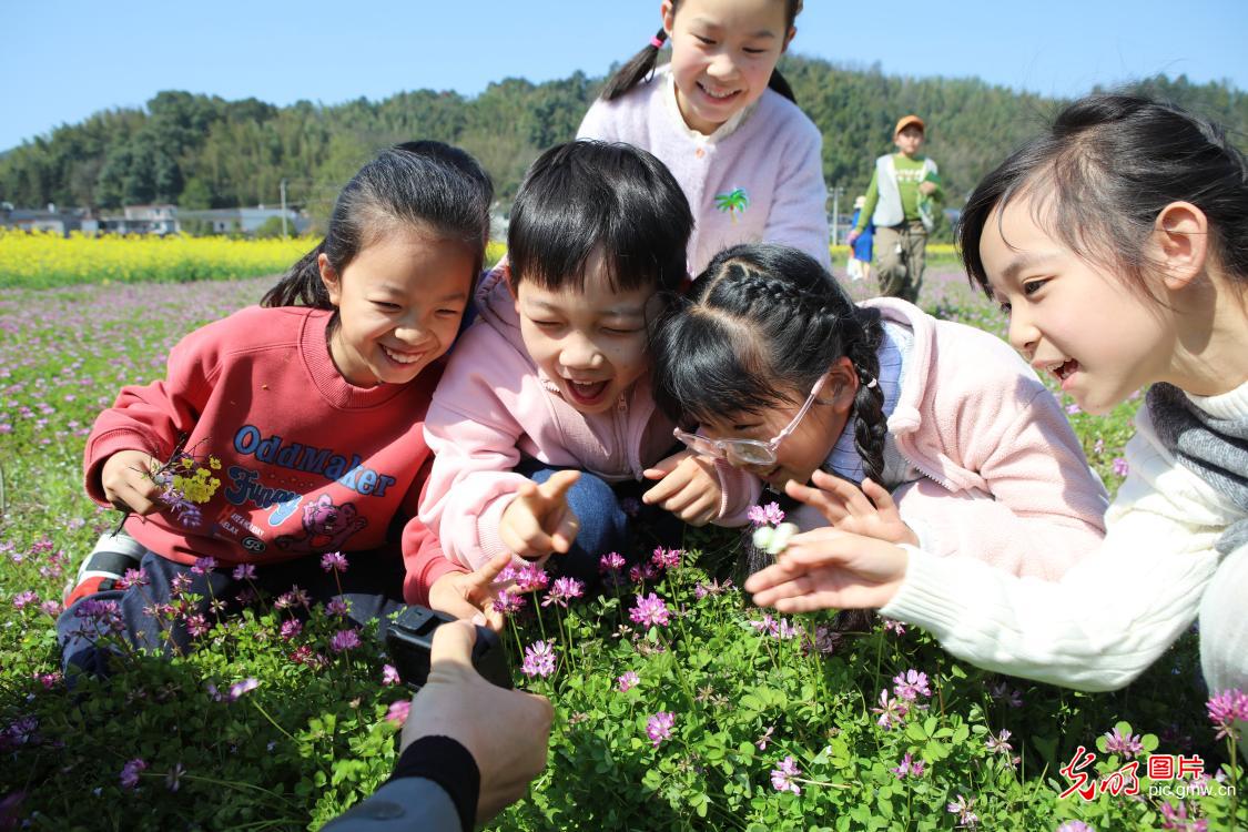 踏青赏花 乐享春光 踏青赏花 乐享春光