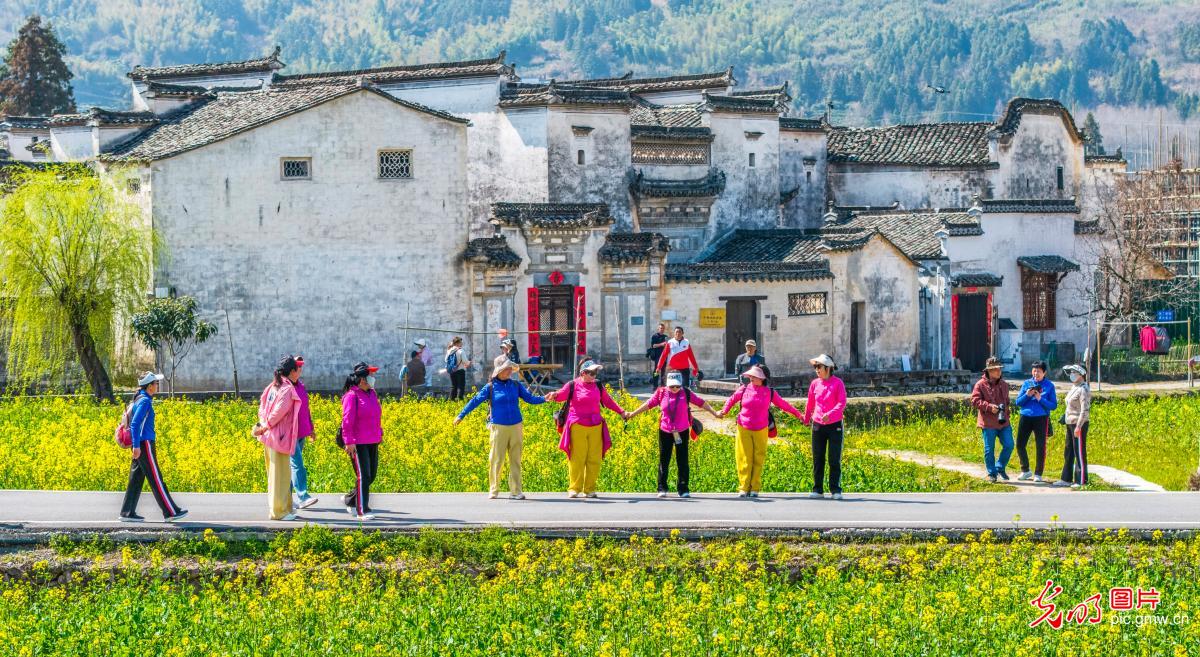 踏青赏花 乐享春光 踏青赏花 乐享春光