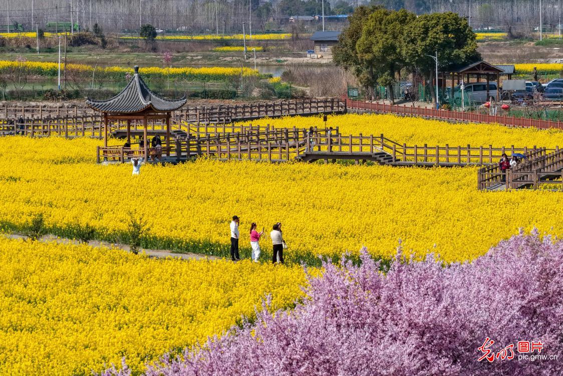 踏青赏花 乐享春光 踏青赏花 乐享春光
