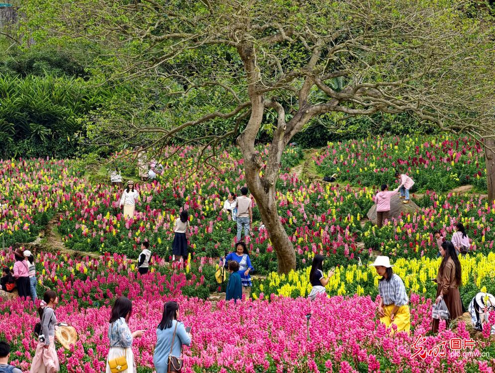 踏青赏花 乐享春光 踏青赏花 乐享春光