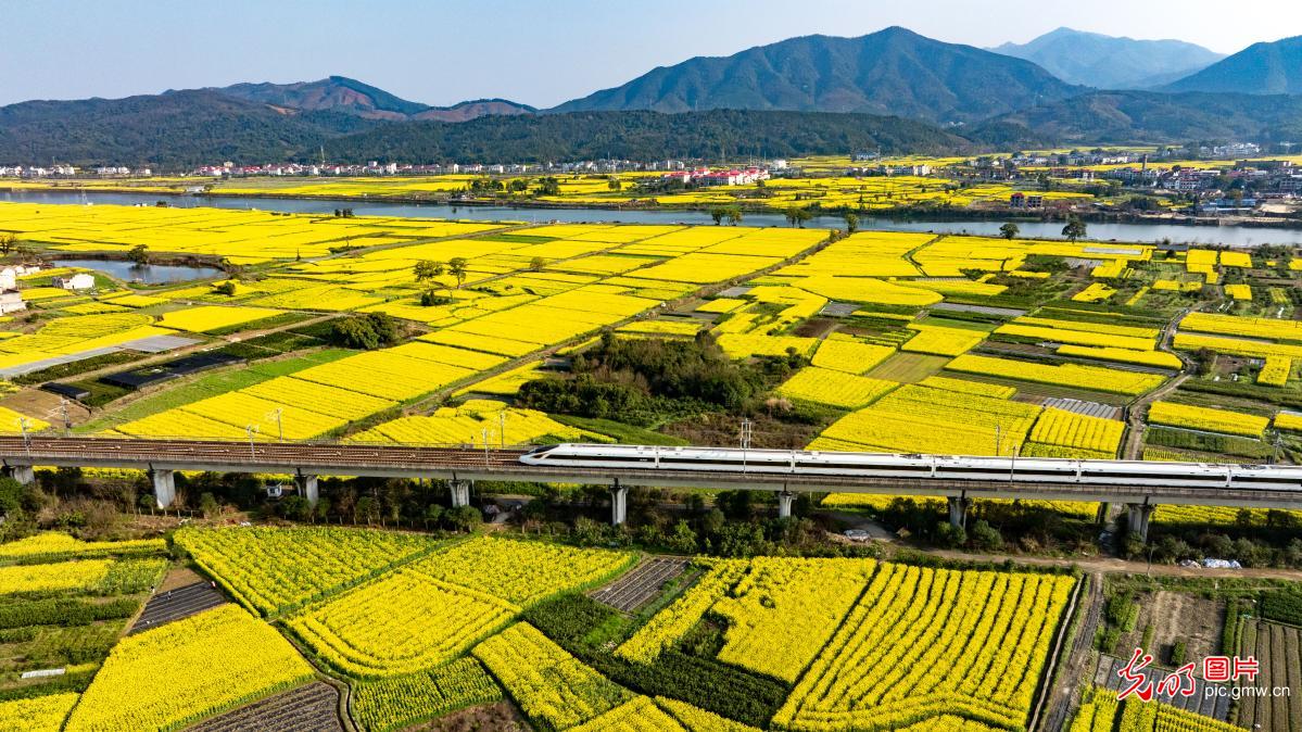 光明图片一周见报作品精选