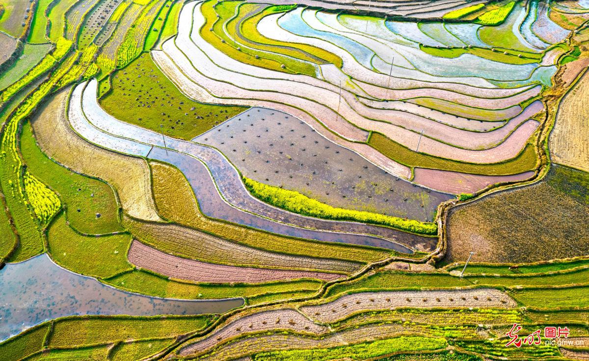 光明图片一周见报作品精选