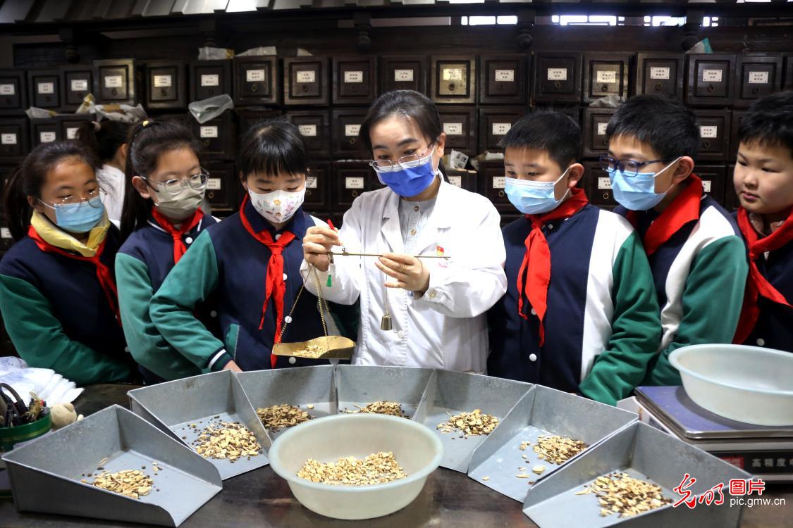 走进中医馆 体验中医药文化