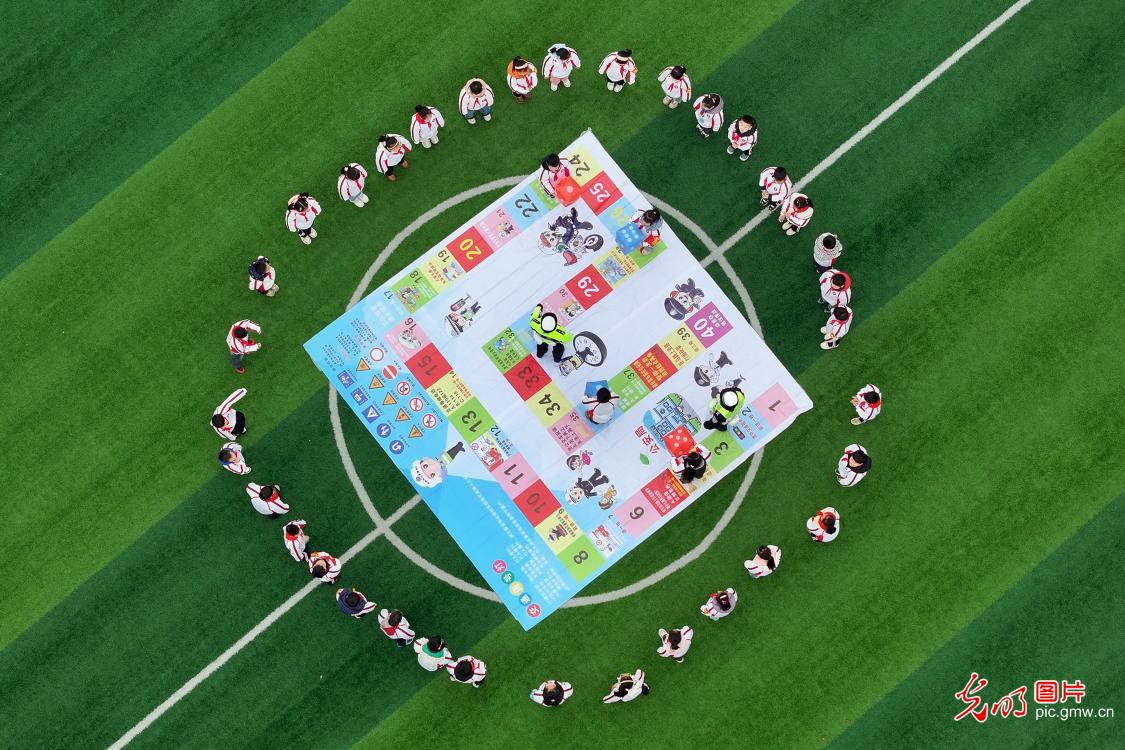 趣味学交规 安全伴成长