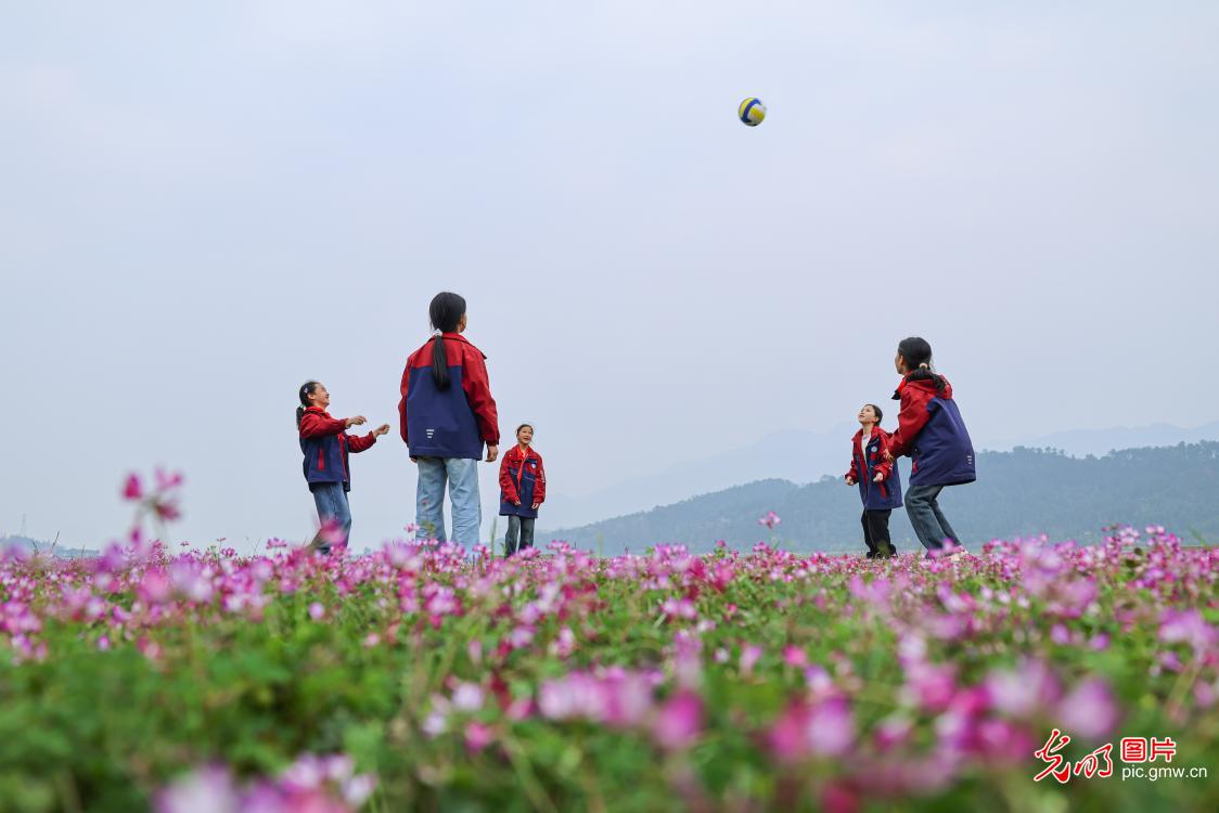 花海嬉春 童趣盎然