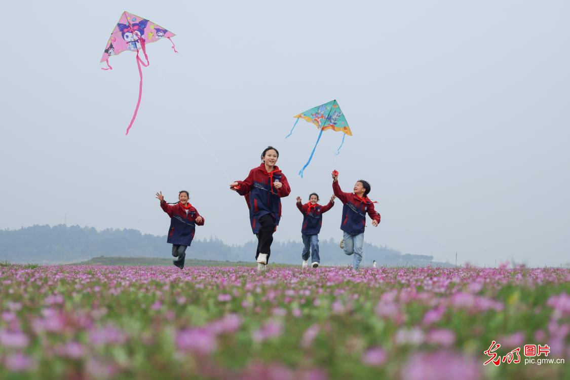 花海嬉春 童趣盎然