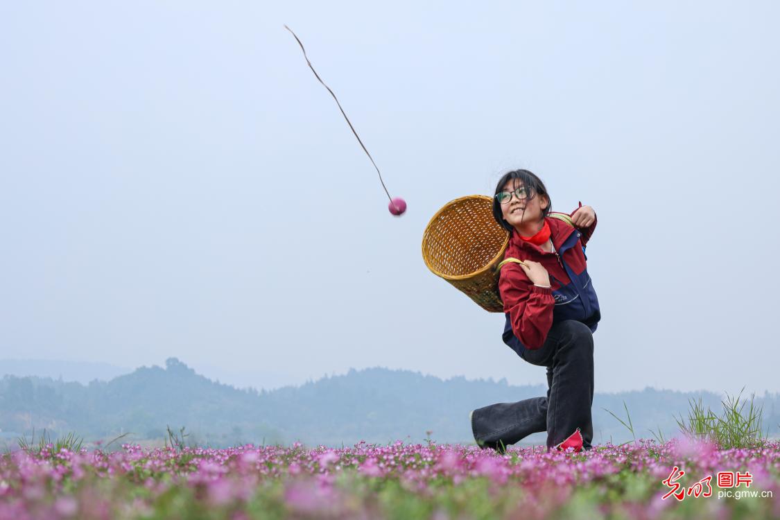 花海嬉春 童趣盎然