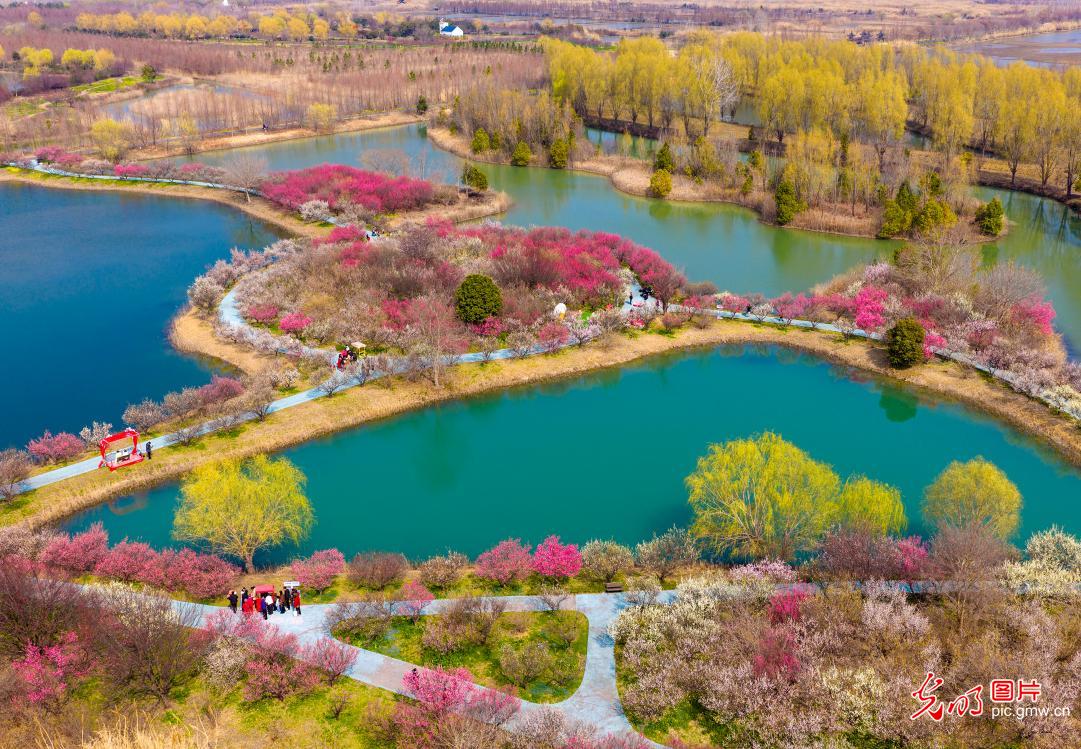 【大美中国·AIGC动画】走出家门 拥抱满屏春色 【大美中国·AIGC动画】走出家门 拥抱满屏春色