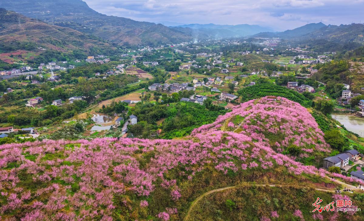【大美中国·AIGC动画】走出家门 拥抱满屏春色 【大美中国·AIGC动画】走出家门 拥抱满屏春色