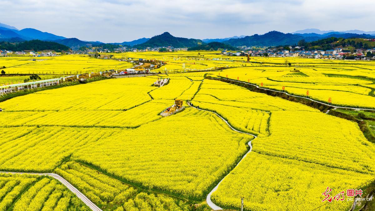 【大美中国·AIGC动画】走出家门 拥抱满屏春色 【大美中国·AIGC动画】走出家门 拥抱满屏春色