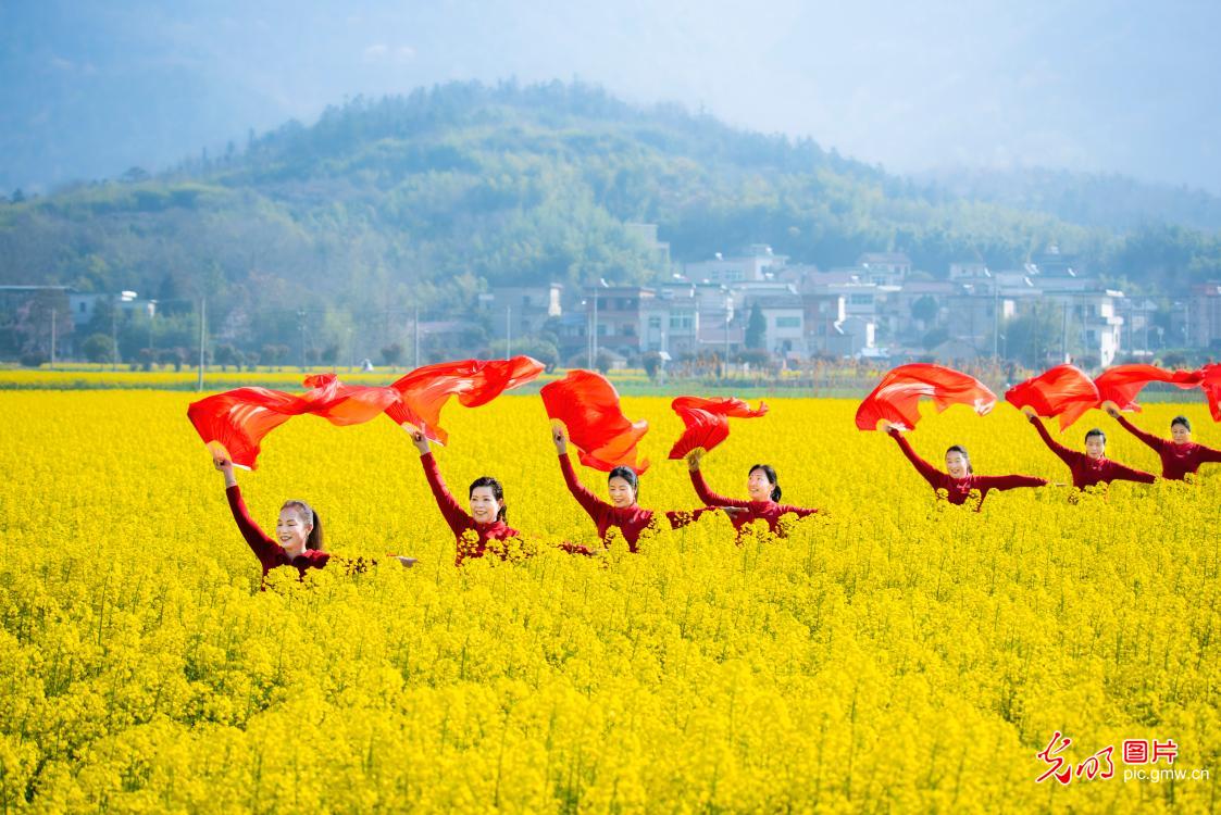 【AIGC动画】春天的顶流 是这片油菜花给的 【AIGC动画】春天的顶流 是这片油菜花给的