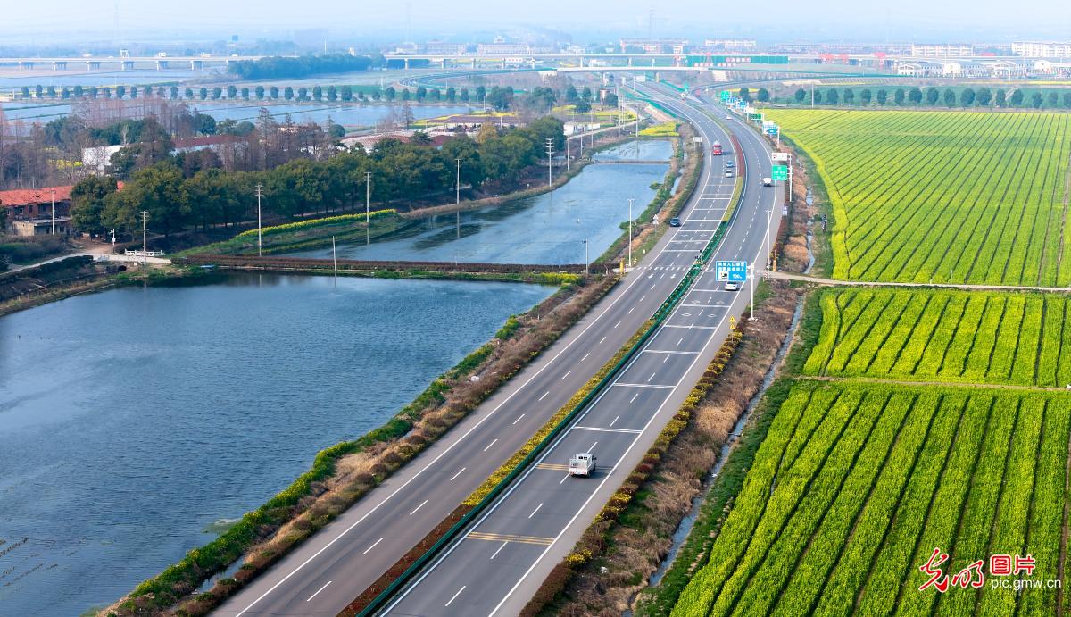 【AIGC动画】春天的顶流 是这片油菜花给的 【AIGC动画】春天的顶流 是这片油菜花给的