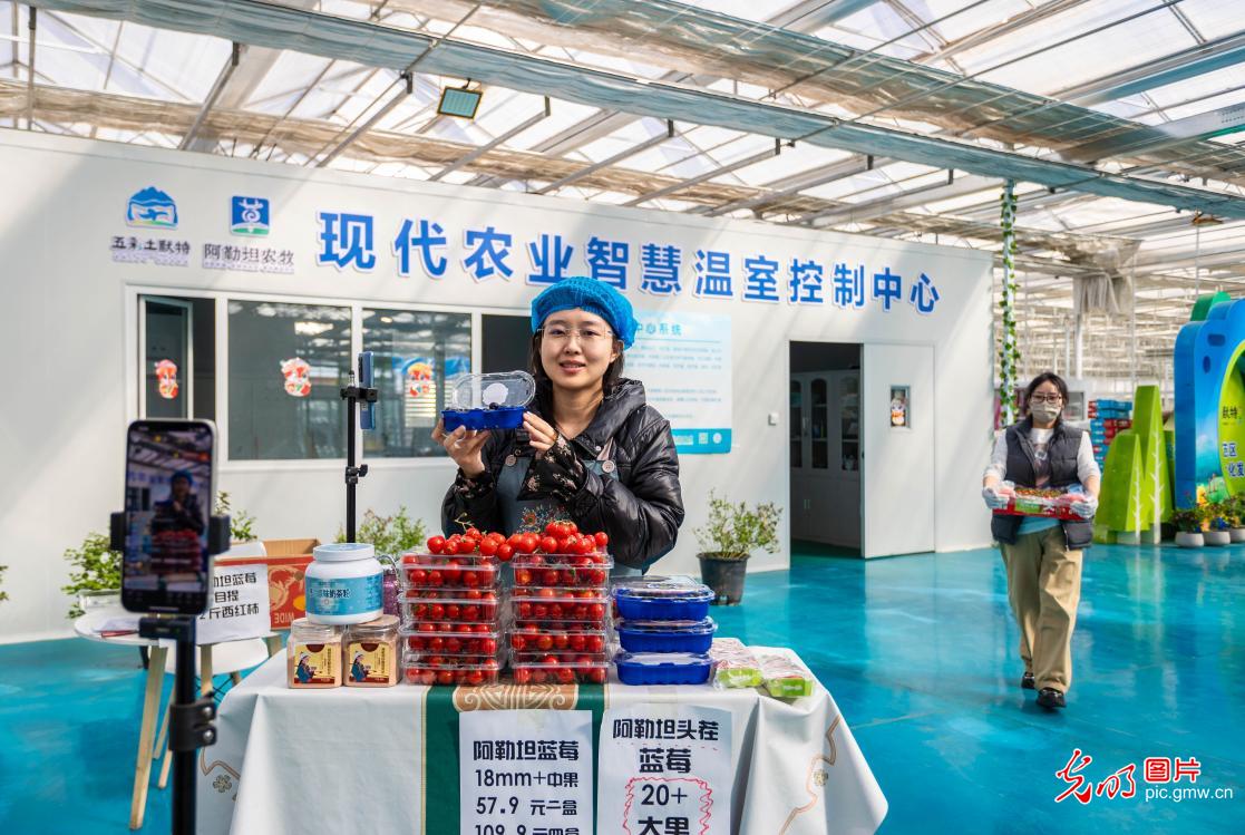 智慧农业为乡村振兴注入新动能