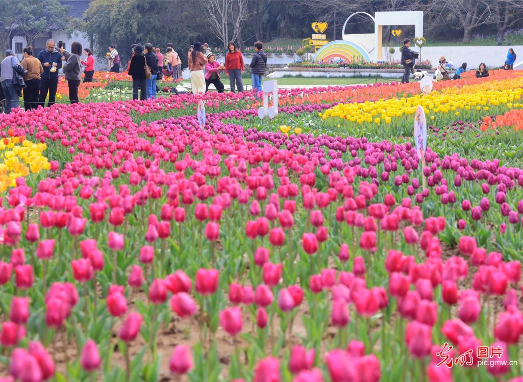 上方山百花绽放 苏州花展正式开展