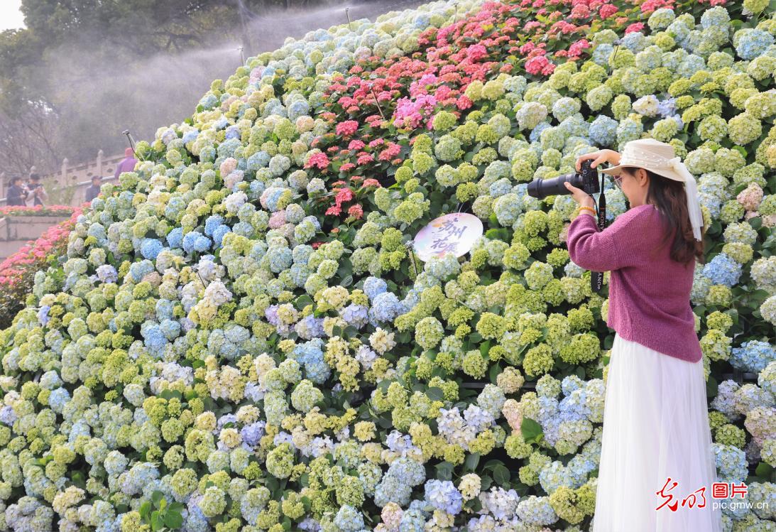 上方山百花绽放 苏州花展正式开展