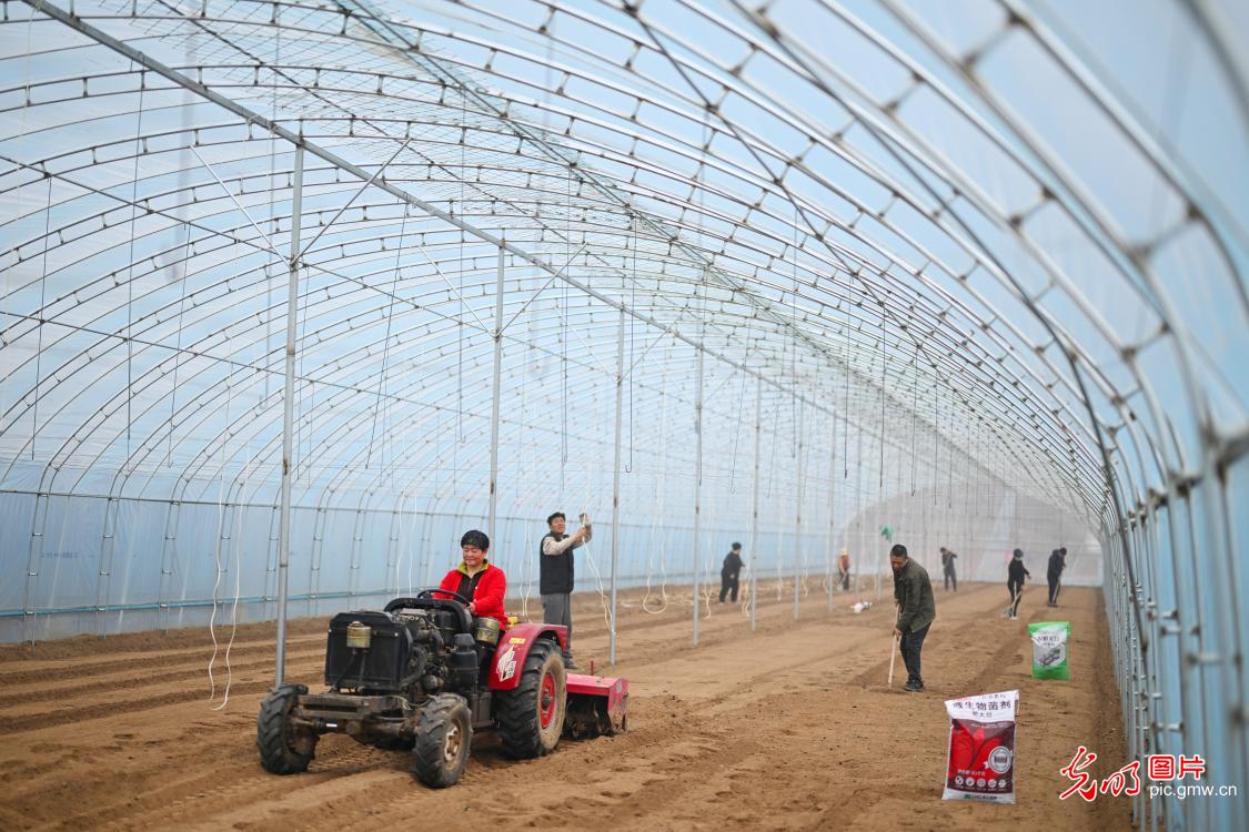 光明图片一周见报作品精选 光明图片一周见报作品精选