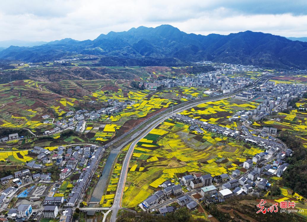 光明图片一周见报作品精选 光明图片一周见报作品精选