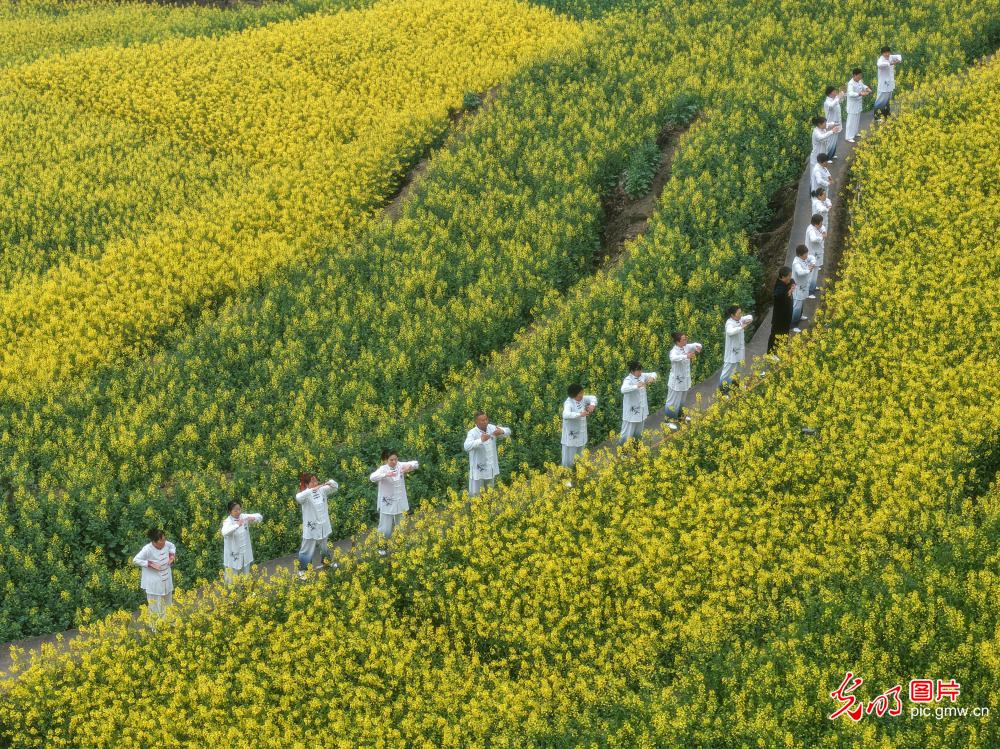 太极传雅韵 健康共同行