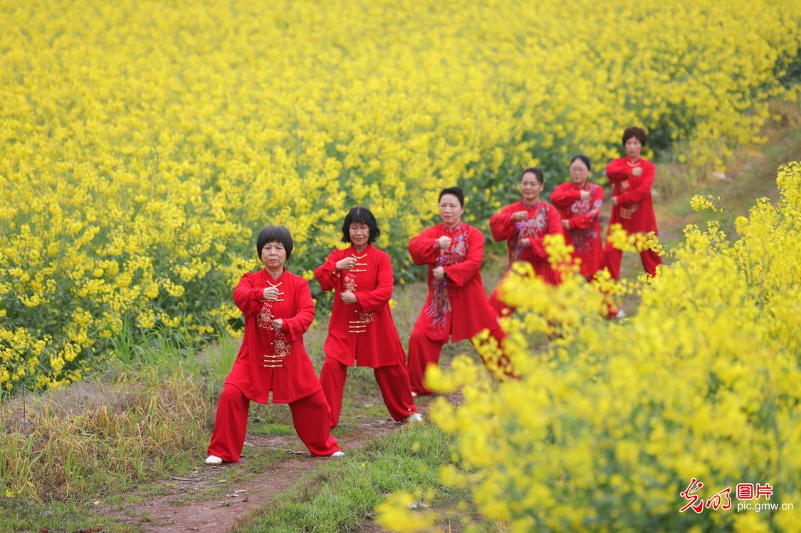 太极传雅韵 健康共同行