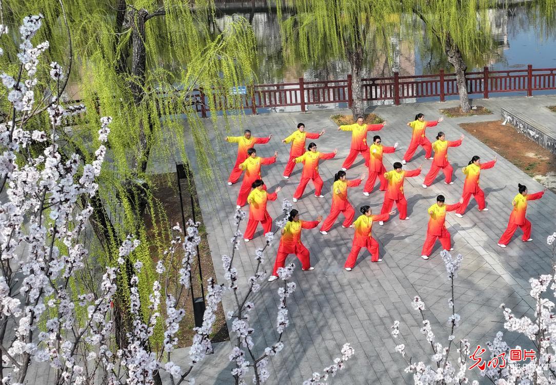 太极传雅韵 健康共同行
