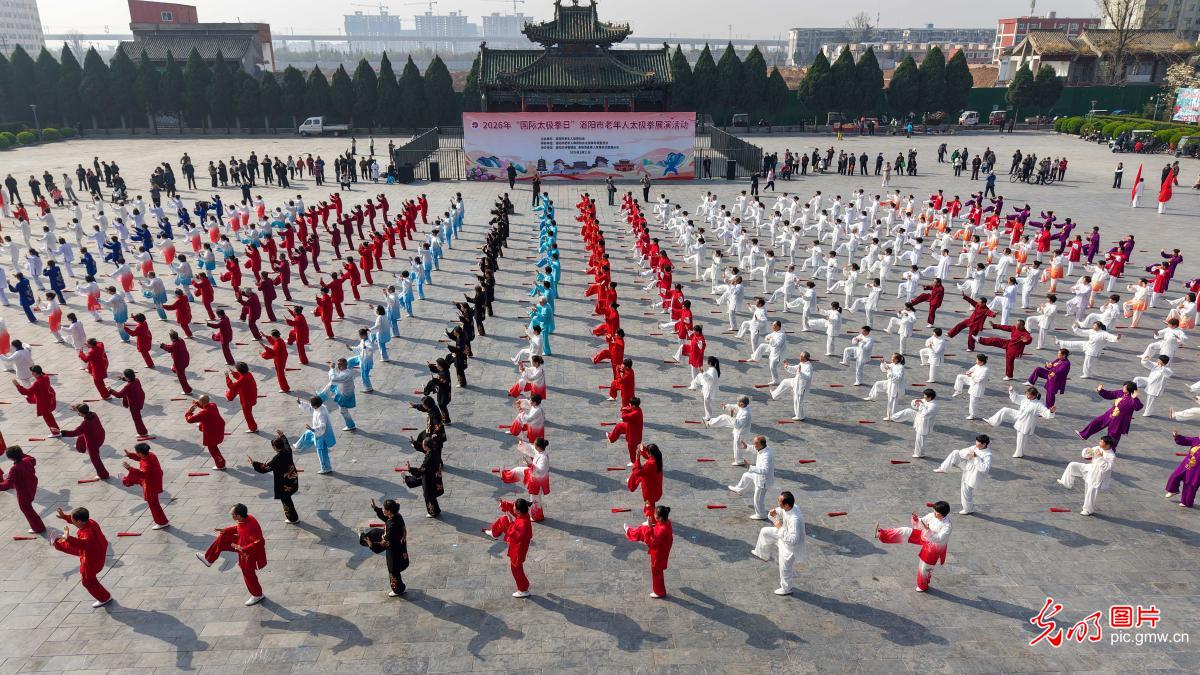 太极传雅韵 健康共同行