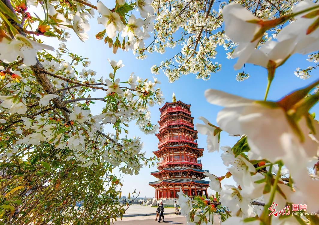 生态添美景 市民享春光