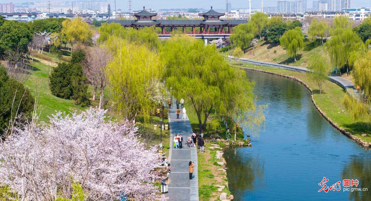 生态添美景 市民享春光