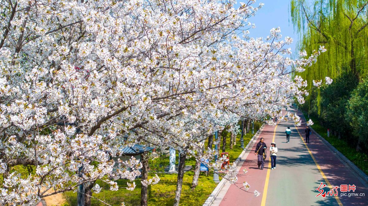 生态添美景 市民享春光