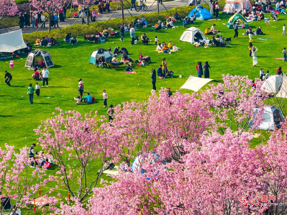 生态公园 乐享春光