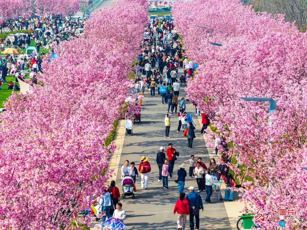 生态公园 乐享春光