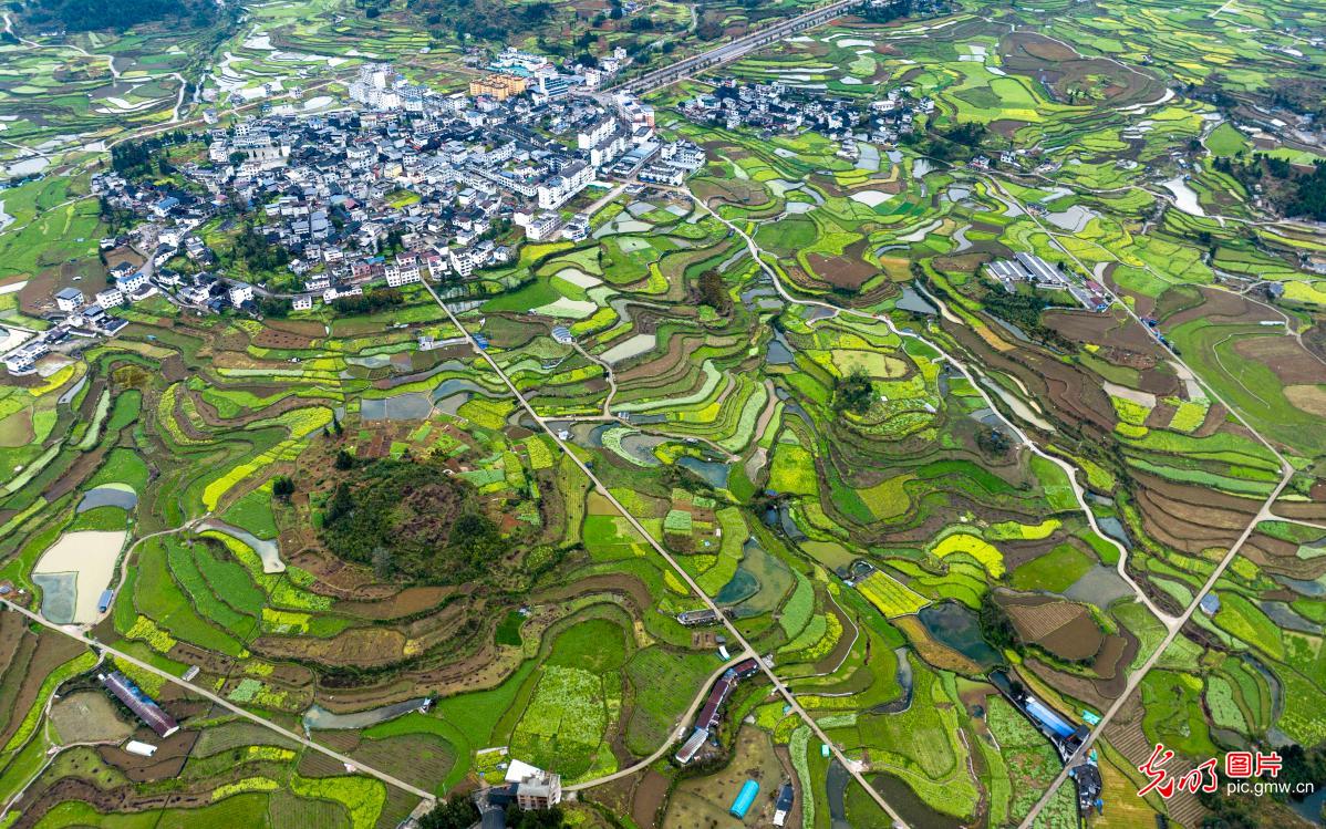 光明图片一周见报作品精选 光明图片一周见报作品精选