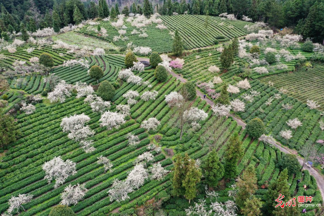 光明图片一周见报作品精选 光明图片一周见报作品精选
