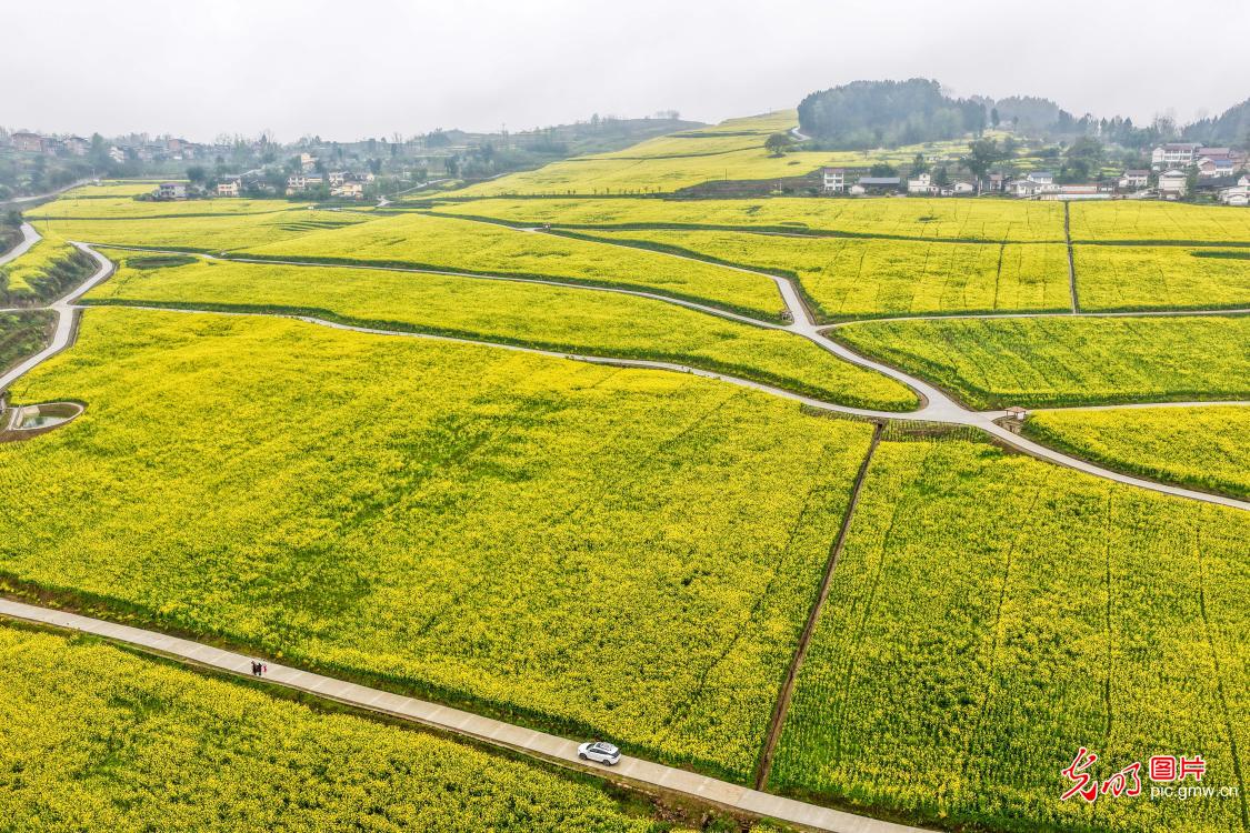 光明图片一周见报作品精选 光明图片一周见报作品精选