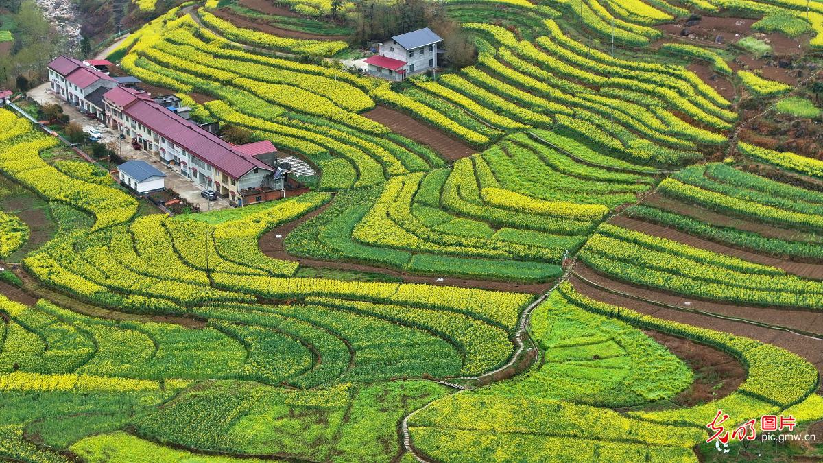 光明图片一周见报作品精选 光明图片一周见报作品精选