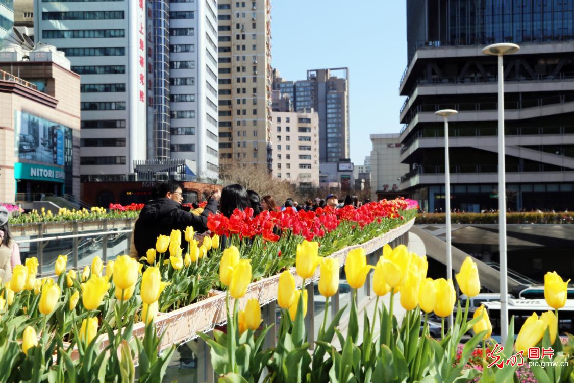 光明图片一周见报作品精选 光明图片一周见报作品精选